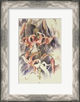 Framed Tiger Lilies