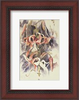 Framed Tiger Lilies