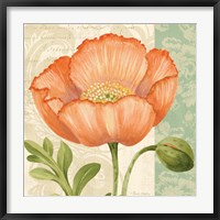 Framed Pastel Poppies II