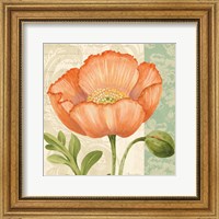 Framed Pastel Poppies II
