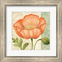 Framed Pastel Poppies II