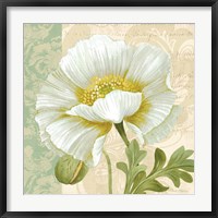 Framed Pastel Poppies III