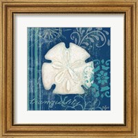 Framed Navy Blue Spa Shells II