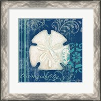 Framed Navy Blue Spa Shells II