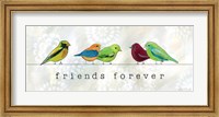 Framed Birds of a Feather I