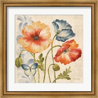 Framed Watercolor Poppies Multi I