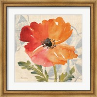 Framed Watercolor Poppies V
