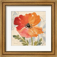 Framed Watercolor Poppies V