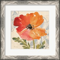 Framed Watercolor Poppies V