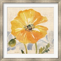 Framed Watercolor Poppies VI