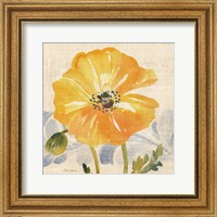 Framed Watercolor Poppies VI