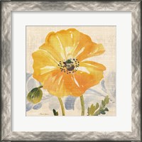 Framed Watercolor Poppies VI