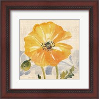 Framed Watercolor Poppies VI