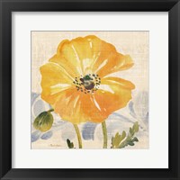 Watercolor Poppies VI Framed Print