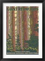 Framed Giant Redwoods