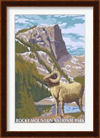 Framed Rocky Mountain Park Ram