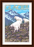 Framed Glacier National Park Mountain Ad