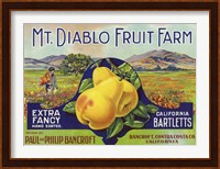 Framed Mt. Diablo Fruit Farm Bartletts