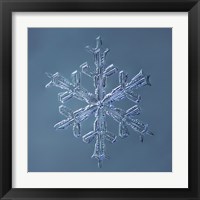 Framed Stellar Dendrite Snowflake 001.2.16.2014