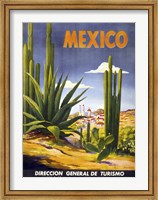 Framed Mexico Cactus