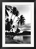 Framed Dreaming of the South Seas, Society Islands, French Polynesia