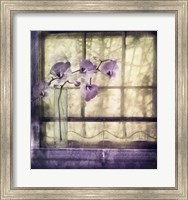 Framed Window Orchids