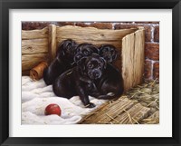 Framed Black Lab Puppies
