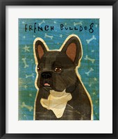 Framed French French Bulldog - Black Brindle and White