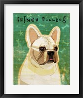 Framed French Bulldog - White