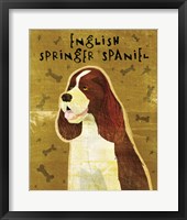 Framed English Springer Spaniel