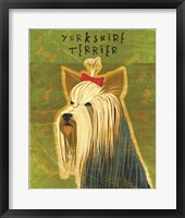 Framed Yorkshire Terrier
