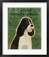 Framed English Springer Spaniel (black and white)