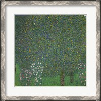 Framed Roses Under The Trees, 1918
