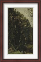 Framed Forest And Brook