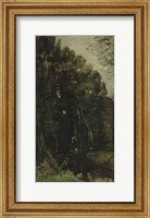 Framed Forest And Brook