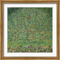 Framed Apple Tree  I, 1912