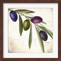 Framed Olive Branch IV