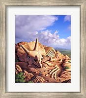 Framed Bones of a Triceratops