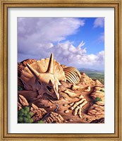 Framed Bones of a Triceratops