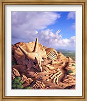 Framed Bones of a Triceratops