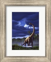 Framed Brachiosaurus