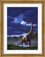 Framed Brachiosaurus