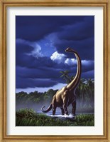 Framed Brachiosaurus