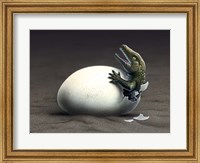 Framed Seymouria Hatching