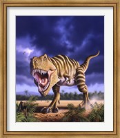 Framed Tyrannosaurus Rex