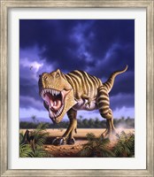 Framed Tyrannosaurus Rex