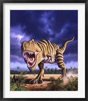 Framed Tyrannosaurus Rex