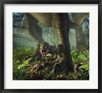 Framed Baby Tyrannosaurus Rex