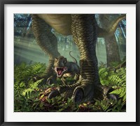 Framed Baby Tyrannosaurus Rex