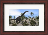 Framed Large Brachiosaurus in a Tropical Environment